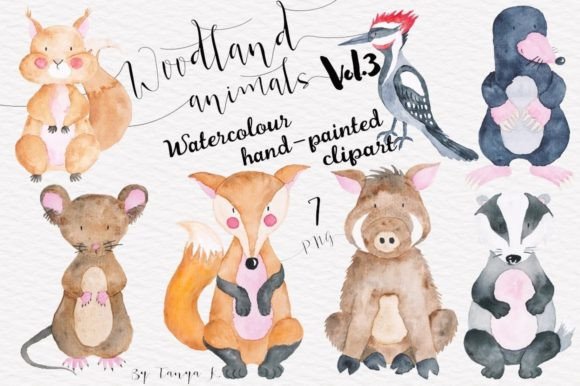 Download Watercolor Cute Woodland Animals - Woodland animal Collection