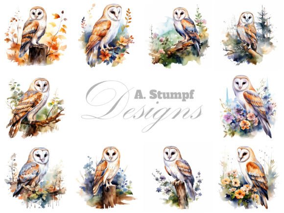 Download Barn Owl Clipart Watercolor Bird Images - Clipart Collection