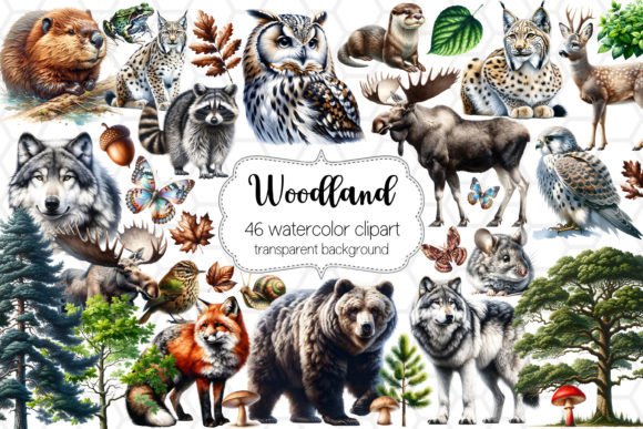 Download 46 Woodland Animal Clipart Bundle PNG - Clipart Collection
