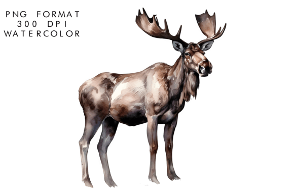 Download Watercolor Moose Clipart - Clipart Collection