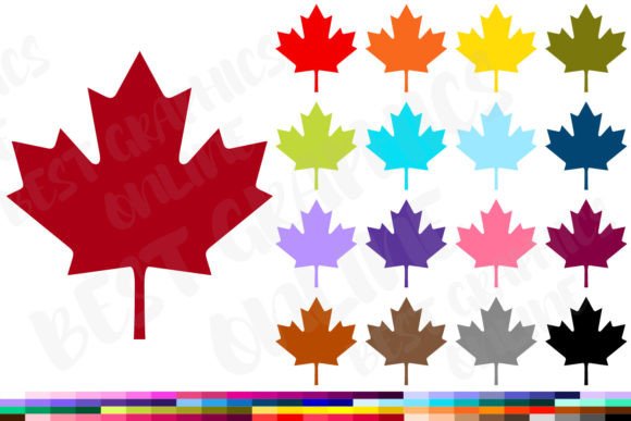 Download Maple Leaf Clipart Canadian Leaves Image - Clipart Collection