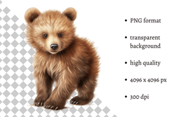 Download Watercolor Baby Bear PNG Clipart - Clipart Collection