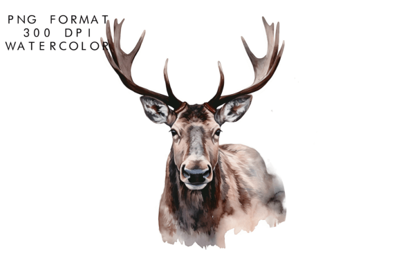 Download Watercolor Moose Clipart - Clipart Collection