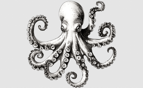 Download Octopus PNG Sublimation 300 DPI Clipart - Clipart Collection