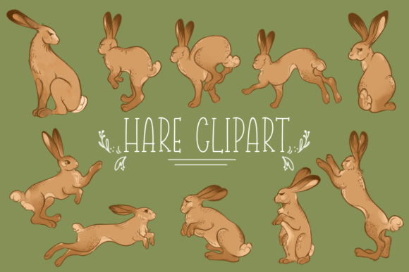 Download Hare Clipart Free - Clipart Collection