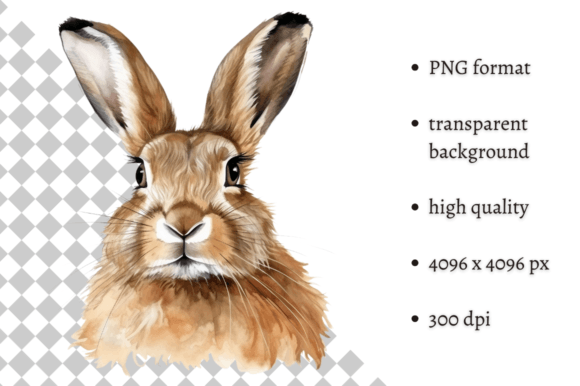 Download Watercolor Woodland Hare PNG Clipart - Clipart Collection