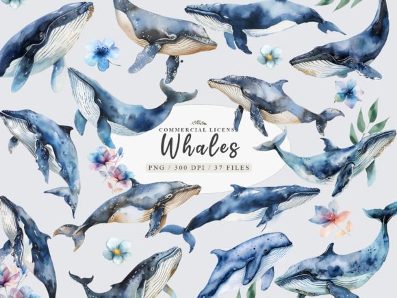 Download Whale Clipart, Whale Watercolor Png - Clipart Collection