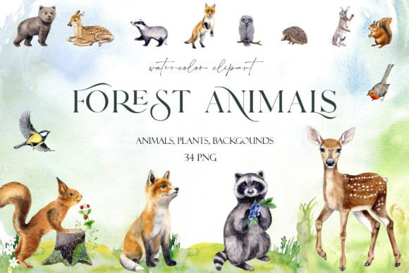 Download Watercolor Set Cute Woodland Animals Png - Woodland animal Collection