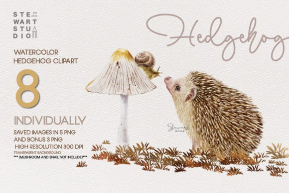 Download Watercolor Hedgehog Clipart - Clipart Collection