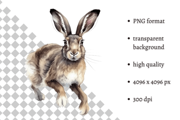 Download Watercolor Woodland Hare PNG Clipart - Clipart Collection