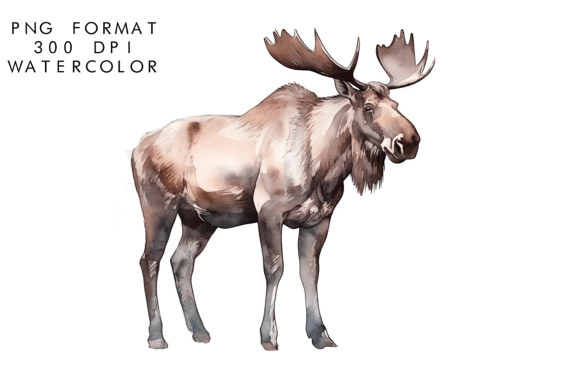 Download Watercolor Moose Clipart - Clipart Collection