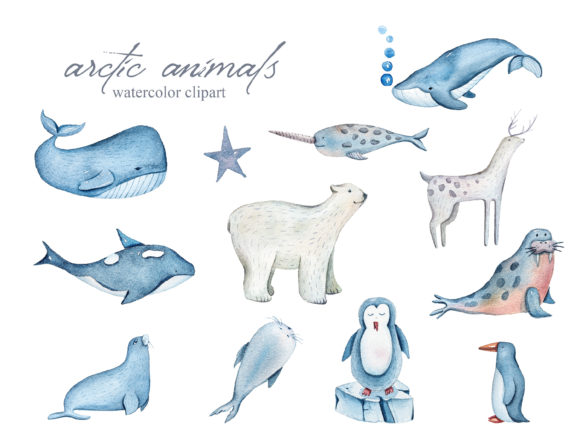 Download Watercolor Arctic Animals Clipart-39 Png - Clipart Collection