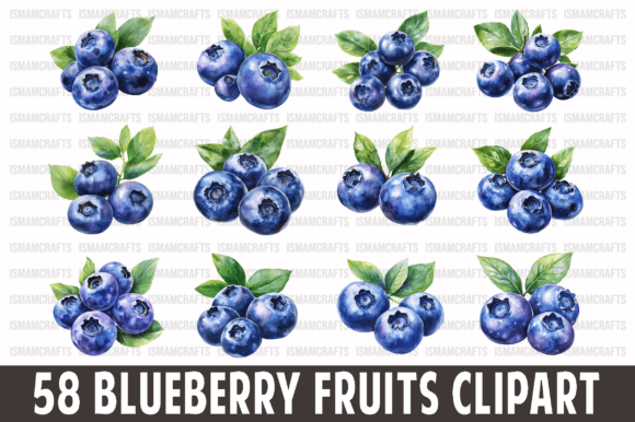 Download Blueberry Fruits Clipart Bundle PNG - Clipart Collection