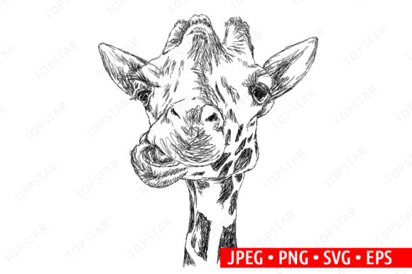 Download Cute Giraffe Funny Clipart Illustration - Clipart Collection