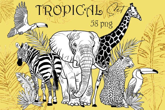 Download Tropical Linear Animals, Africa Clip Art - Africa Collection
