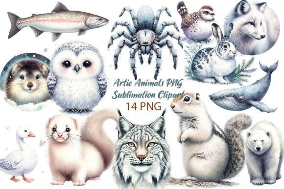 Download Arctic Animals PNG Sublimation Clipart - Clipart Collection