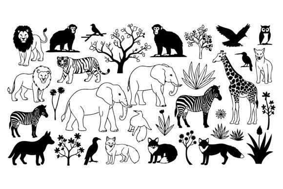 Download Collection of African Wildlife&nbsp; - Africa Collection
