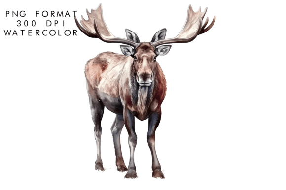 Download Watercolor Moose Clipart - Clipart Collection