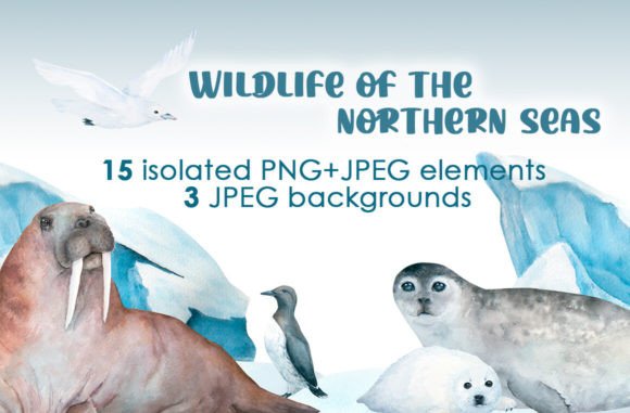 Download Watercolor Arctic Animals Clipart - Clipart Collection