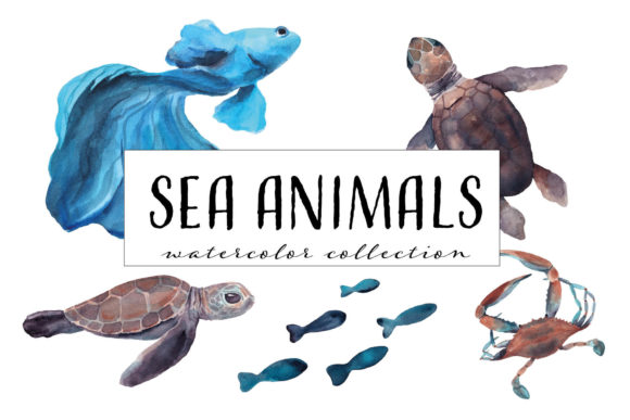 Download Sea Animals Watercolor Collection - Premium Bundle