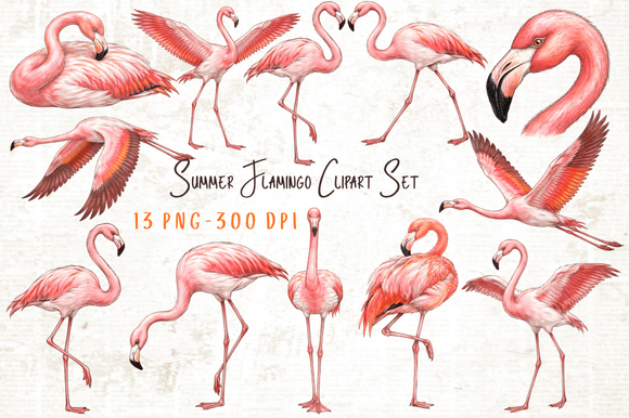 Download Summer Flamingo Clipart Set PNG - Clipart Collection