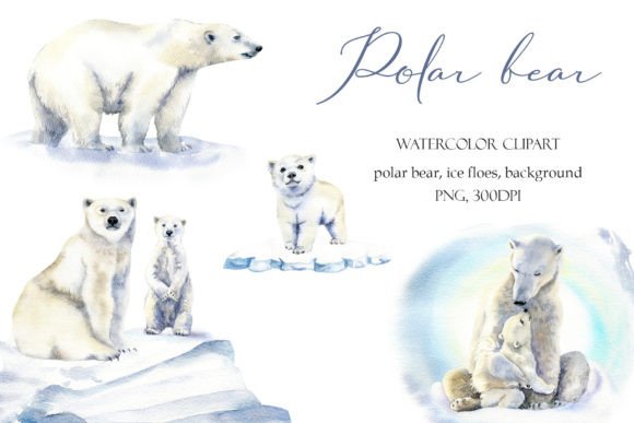 Download Watercolor Polar Bear Clipart Baby Png - Clipart Collection