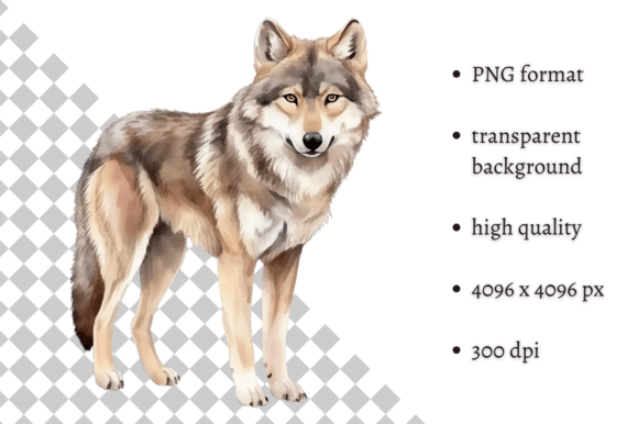 Download Watercolor Woodland Wolf PNG Clipart - Clipart Collection