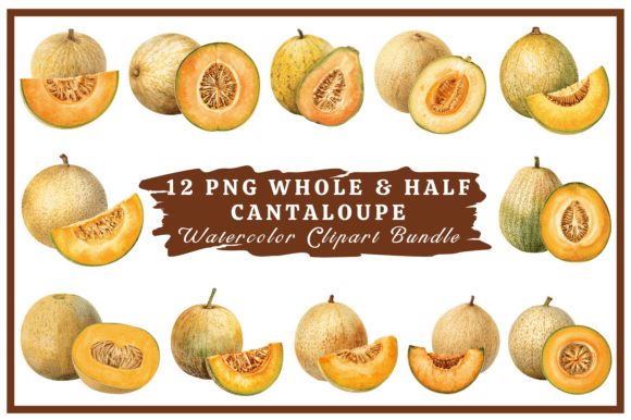 Download Cantaloupe Watercolor Clipart Bundle #27 - Clipart Collection