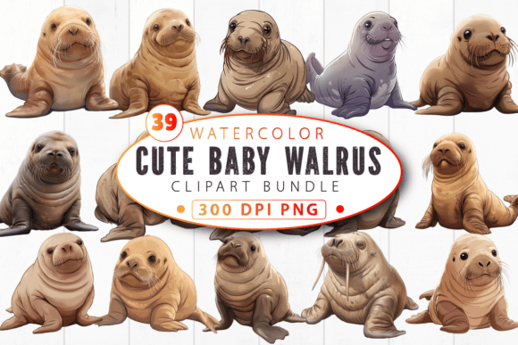 Download Cute Baby Walrus Nursery Animal Clipart - Clipart Collection
